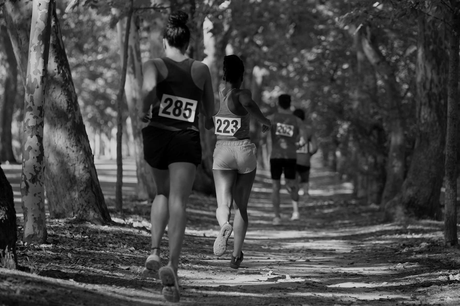 coach marathon en ligne